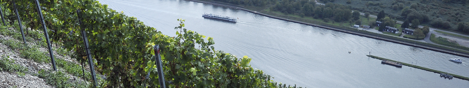 Blick von oben auf den Rhein ©DLR